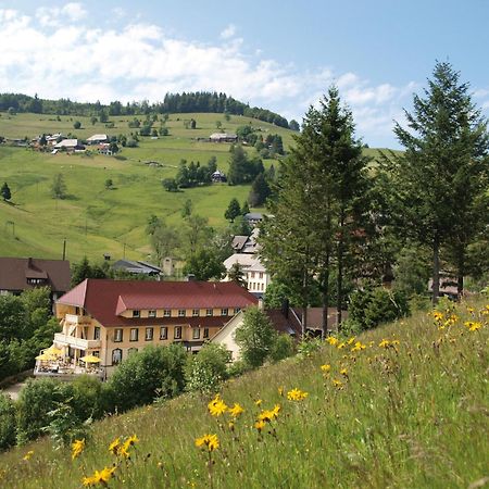 Gruener Baum Naturparkhotel & Schwarzwald-Restaurant Тодтнау Экстерьер фото