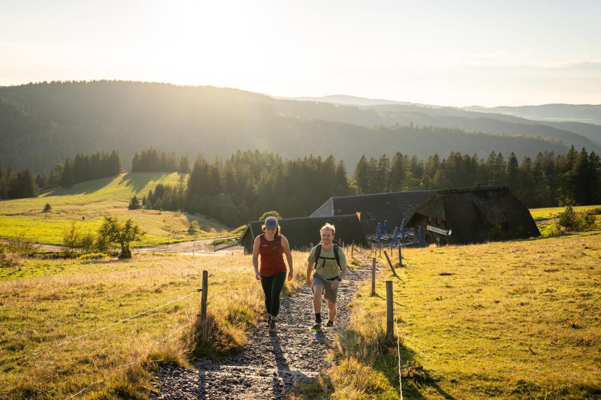 Gruener Baum Naturparkhotel & Schwarzwald-Restaurant Тодтнау Экстерьер фото