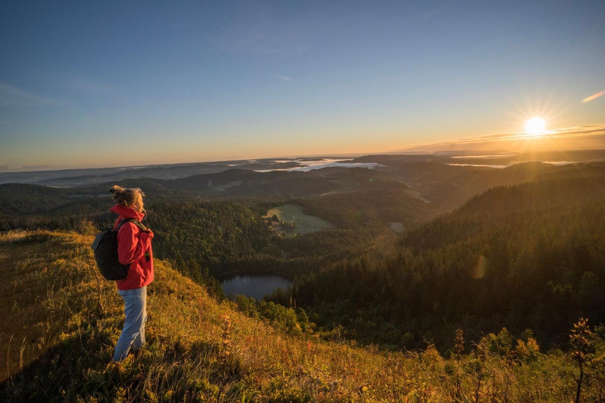 Gruener Baum Naturparkhotel & Schwarzwald-Restaurant Тодтнау Экстерьер фото