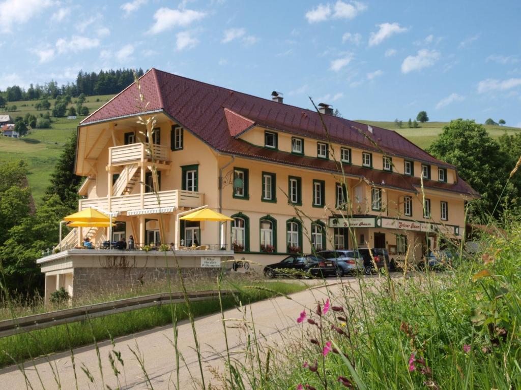 Gruener Baum Naturparkhotel & Schwarzwald-Restaurant Тодтнау Экстерьер фото
