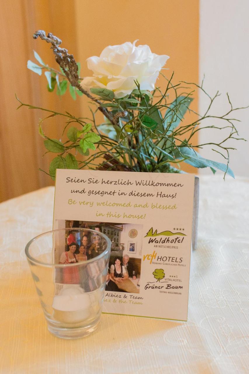 Gruener Baum Naturparkhotel & Schwarzwald-Restaurant Тодтнау Экстерьер фото